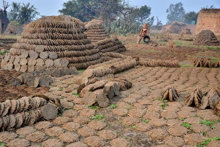 All Inclusive Tribal Village Walk com visita ao projeto Taragram de Orchha