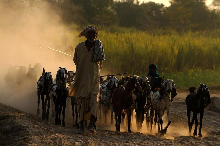 All Inclusive Tribal Village Walk com visita ao projeto Taragram de Orchha