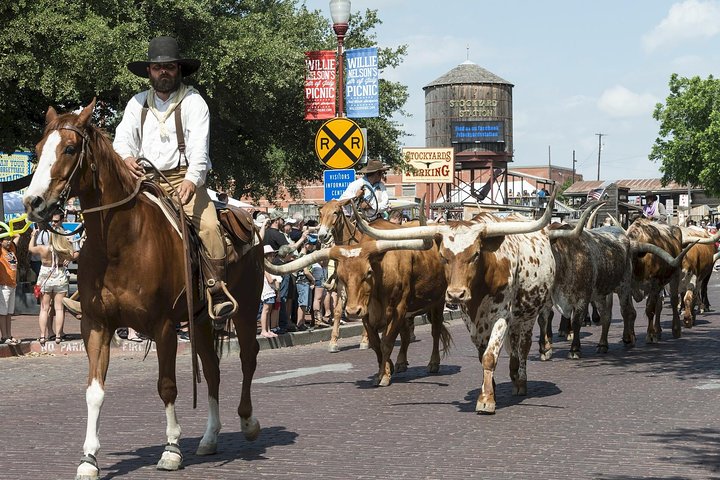 Det bedste af Fort Worth fra Dallas eller Fort Worth