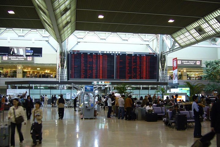 Traslado privado de llegada: Aeropuerto Internacional de Narita a Tokio Disney