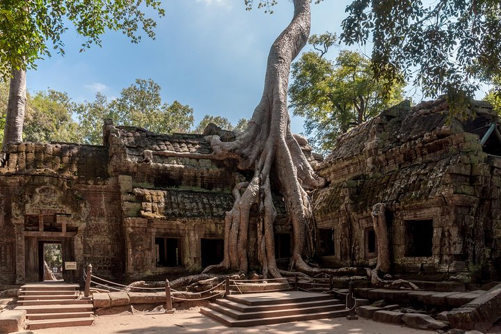 Private Temples Guided Tour (Angkor Wat, Ta Prom & Angkor Thom)