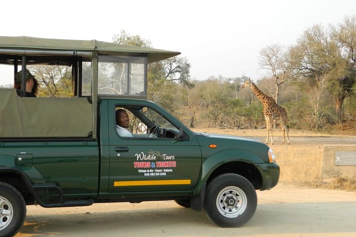 Tour safari guidato condiviso di un'intera giornata Visita al Parco nazionale Kruger