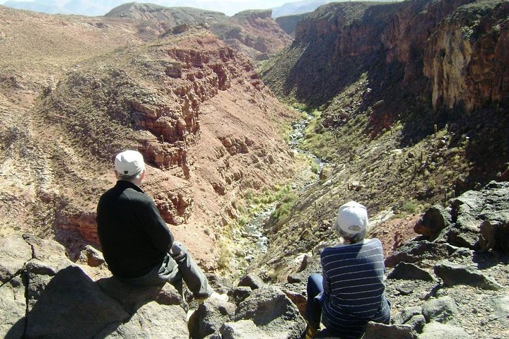 Excursão de 2 dias a Algarrobal, Los Colorados e La Poma de Cachi