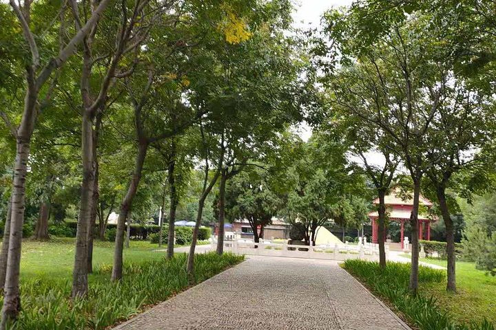Visite tout compris des ruines de Anyang Yin Xu et du musée du caractère de Zhengzhou