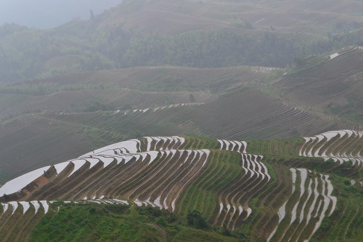Terrazze di riso Longji con tour privato di un giorno al Minority Village