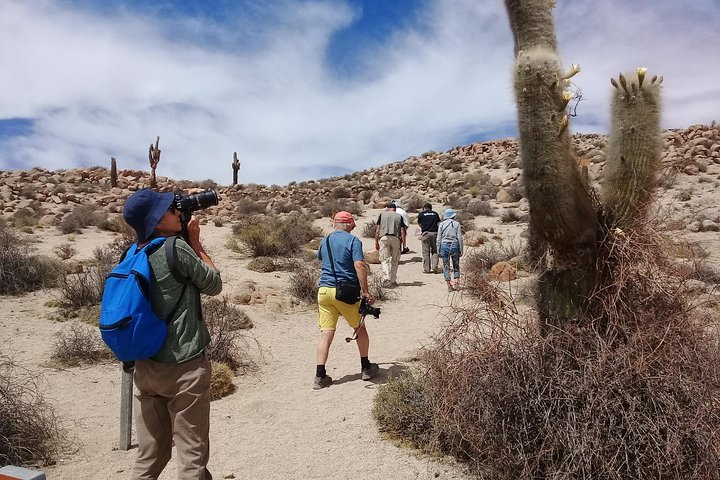 Excursão de 2 dias a Algarrobal, Los Colorados e La Poma de Cachi