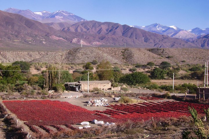 Excursão de 2 dias a Algarrobal, Los Colorados e La Poma de Cachi