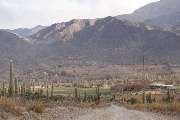 Excursão de 2 dias a Algarrobal, Los Colorados e La Poma de Cachi