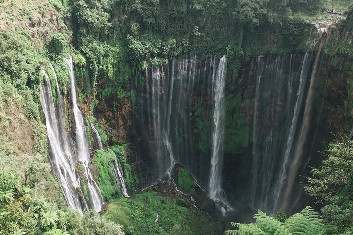 Hotell i nærheten av Tumpak Sewu Waterfall & Tetes Cave