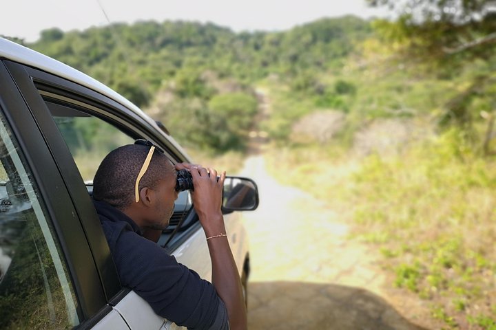 Safari photo de plusieurs jours dans le parc des éléphants d'Addo