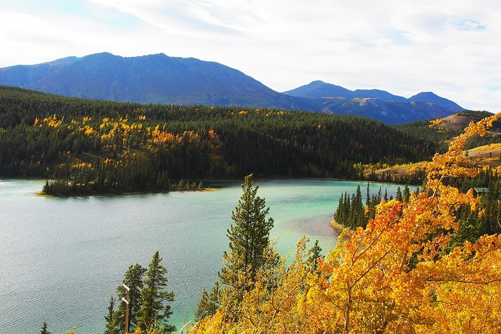 Día del Ártico: tour de senderismo en Carcross y los lagos del sur | día completo