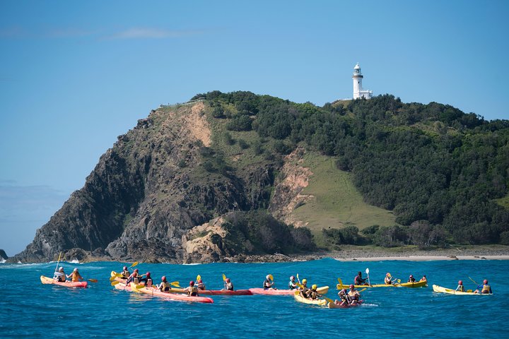 Kayak avec dauphins à Byron Bay Visite guidée