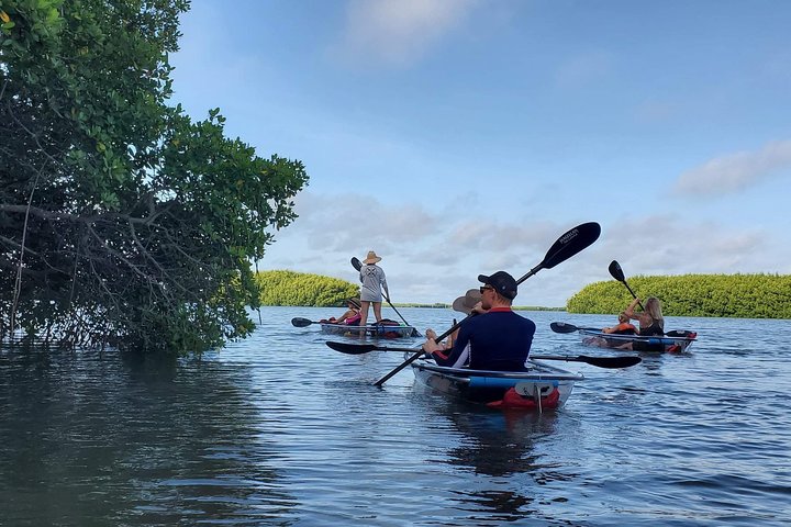 Klar kajakktur i Shell Key Preserve og Tampa Bay-området