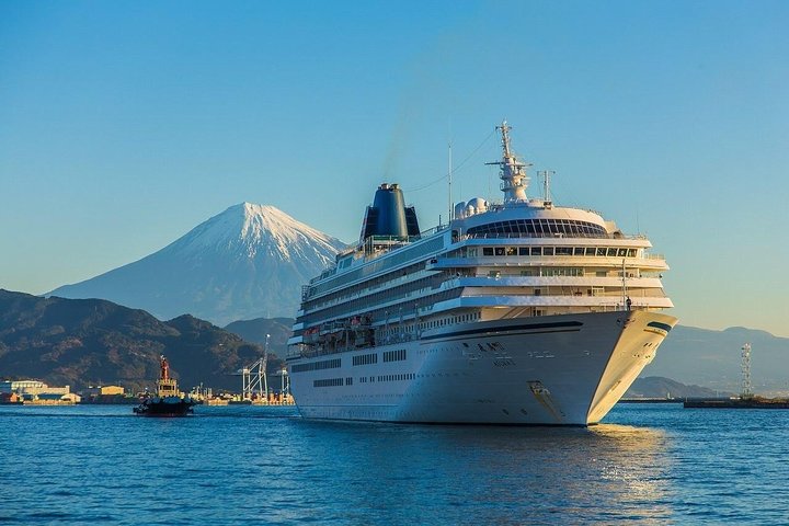 Privat sightseeingtur fra Shimizu Port / Van Taxi