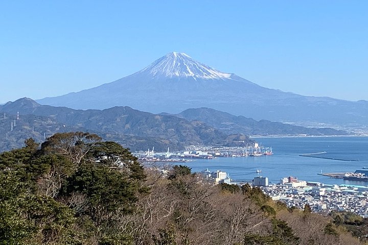 Privat sightseeingtur fra Shimizu Port / Van Taxi