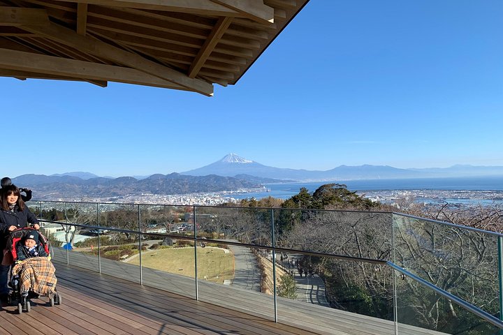 Privat sightseeingtur fra Shimizu Port / Van Taxi