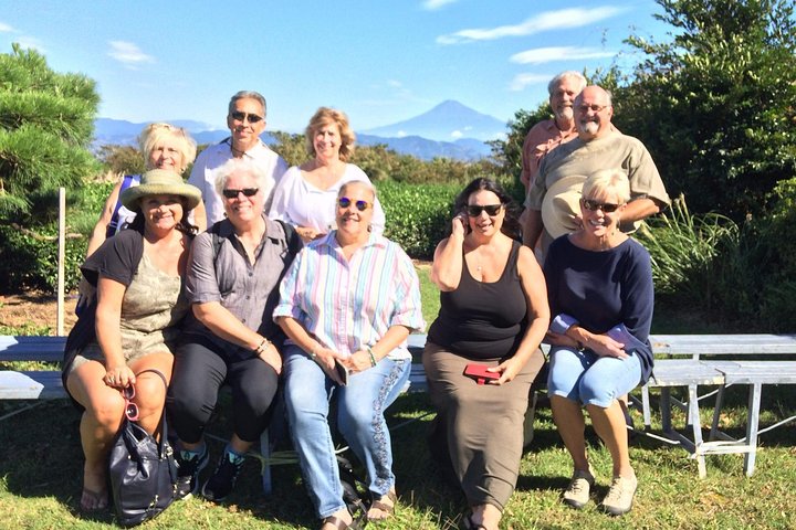 Privat sightseeingtur fra Shimizu Port / Van Taxi