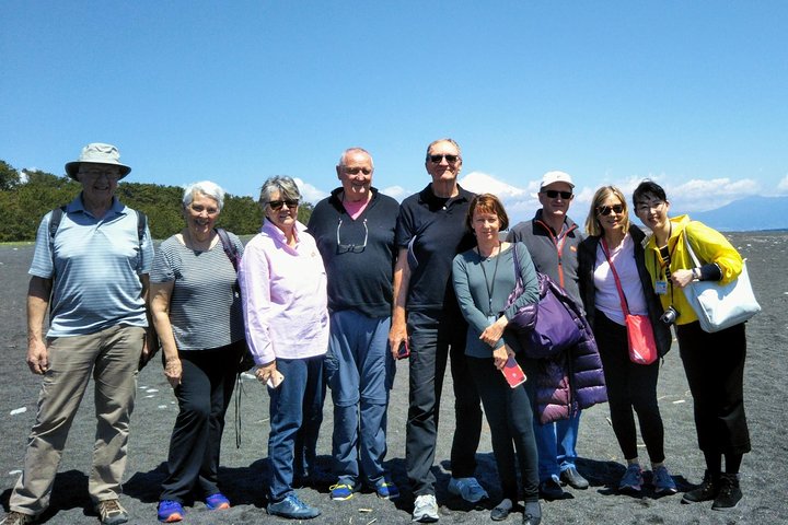 Privat sightseeingtur fra Shimizu Port / Van Taxi