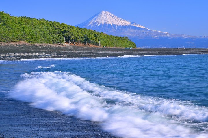 Privat sightseeingtur fra Shimizu Port / Van Taxi