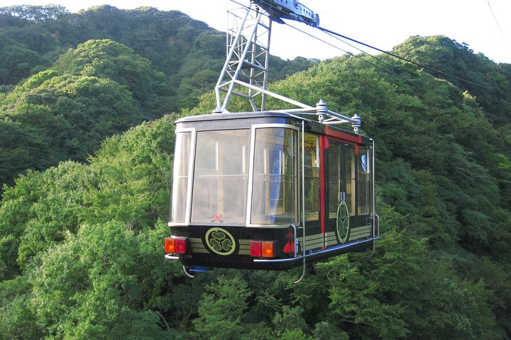 Privat sightseeingtur fra Shimizu Port / Van Taxi
