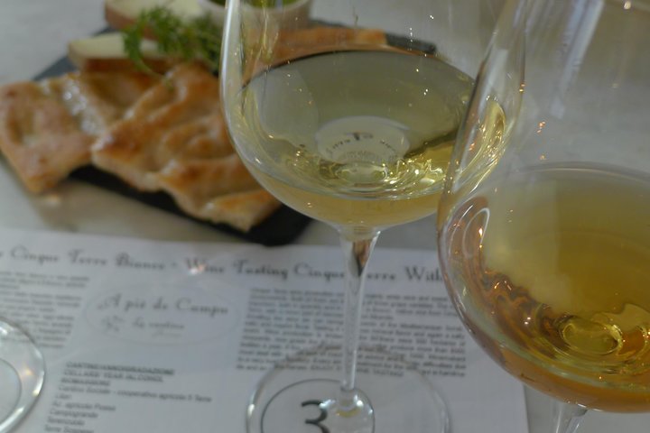 degustazione e passeggiata fra i vigneti delle cinque terre