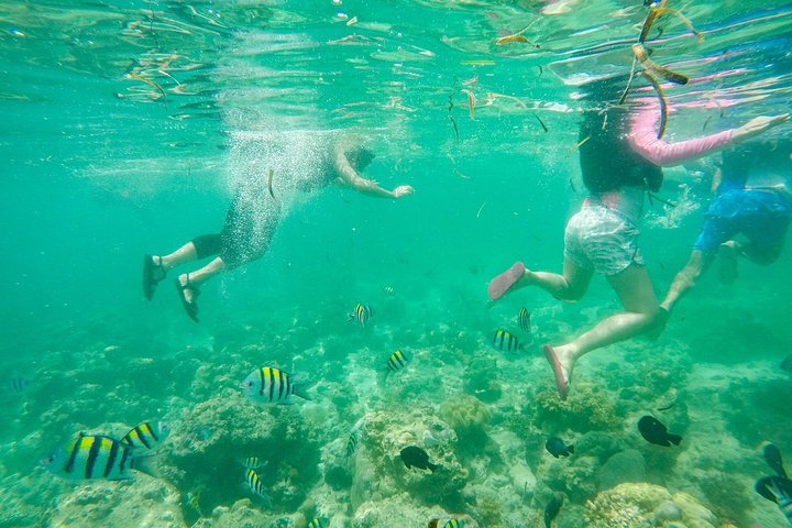 Mactan Cebu Island Hopping mit Mittagessen - Gilutungan, Caohagan, Nalusuan
