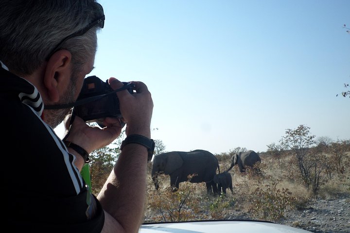 Safari no parque nacional de Etosha com guias profissionais nascidos em Etosha.