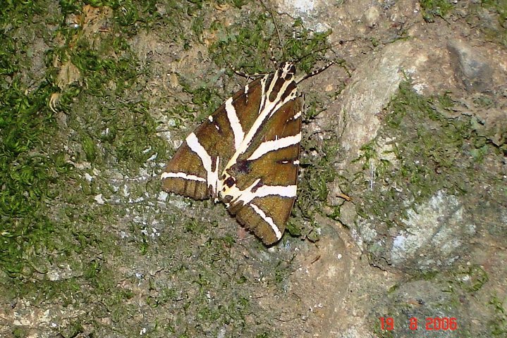 O MELHOR DA ILHA DE RHODES - TOUR PRIVADO - EXCURSÃO TERRESTRE - DIA INTEIRO - 4 pessoas