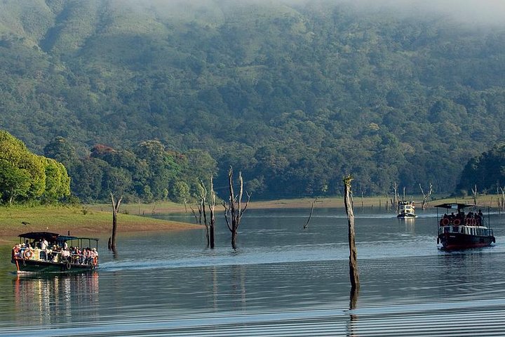 4 nachten privé Deluxe Tour Cochin / Munnar / Thekkady / Woonboot