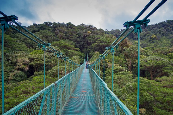Tour mit Seilrutsche durch den Regenwald und über Hängebrücken ab Monteverde