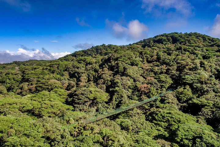 Tour mit Seilrutsche durch den Regenwald und über Hängebrücken ab Monteverde