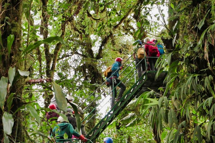 Tour mit Seilrutsche durch den Regenwald und über Hängebrücken ab Monteverde