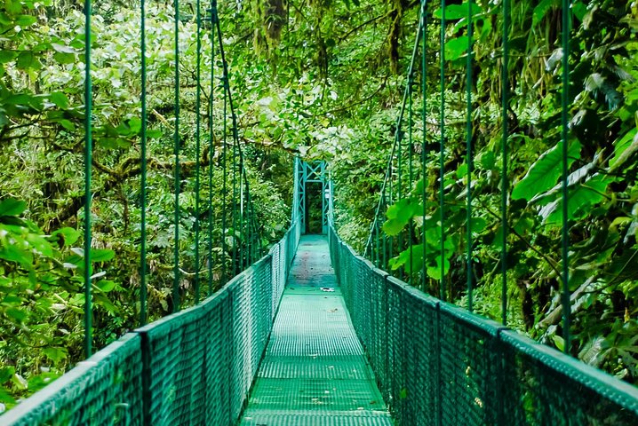 Tour mit Seilrutsche durch den Regenwald und über Hängebrücken ab Monteverde