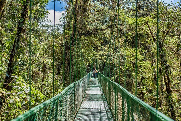 Tour mit Seilrutsche durch den Regenwald und über Hängebrücken ab Monteverde