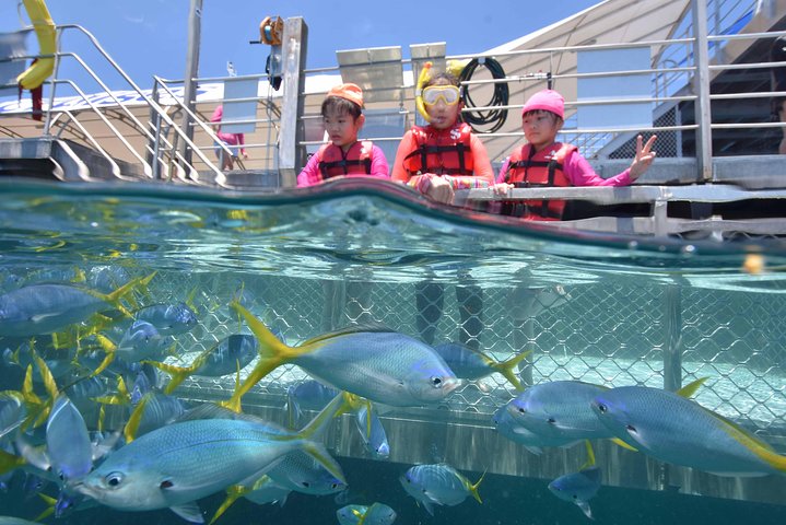 Sunlover Reef Cruises ofrece una gran experiencia de barrera de coral