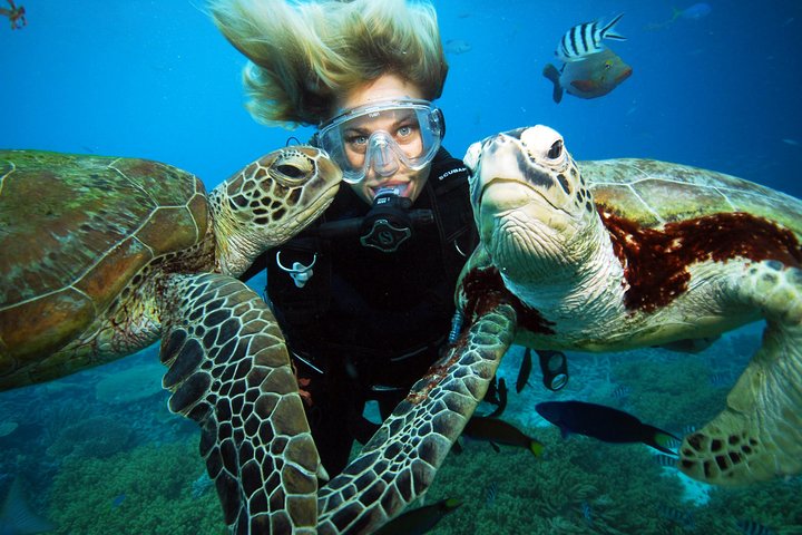 Sunlover Reef Cruises ofrece una gran experiencia de barrera de coral