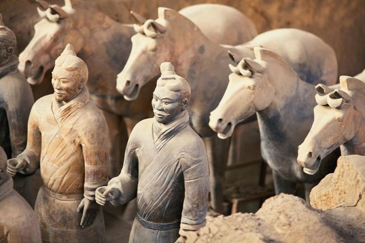 Viagem privada de Zhengzhou aos guerreiros de terracota de Xi'an e muralha da cidade de trem bala