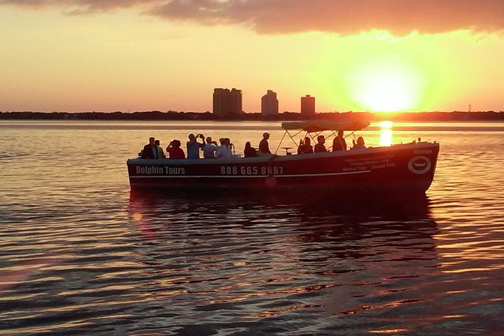 Cruzeiro turístico de golfinhos de uma hora e meia saindo de Tampa