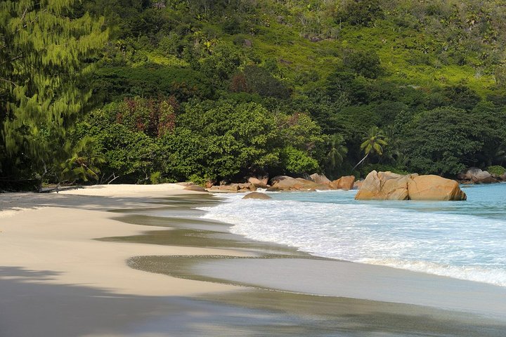 Excursion d'une journée à la découverte de la Vallée de Mai et de l'Anse Lazio sur l'île de Praslin