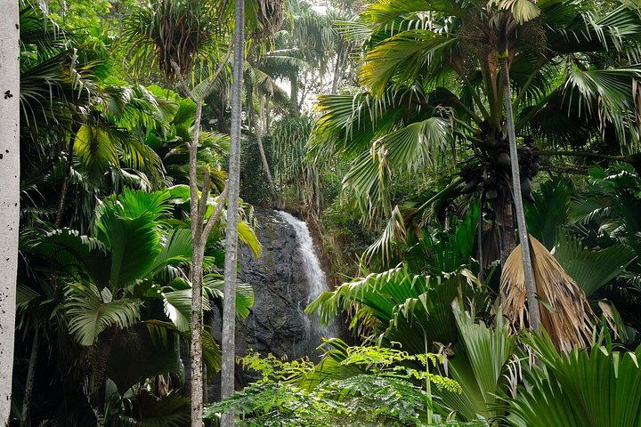Excursion d'une journée à la découverte de la Vallée de Mai et de l'Anse Lazio sur l'île de Praslin