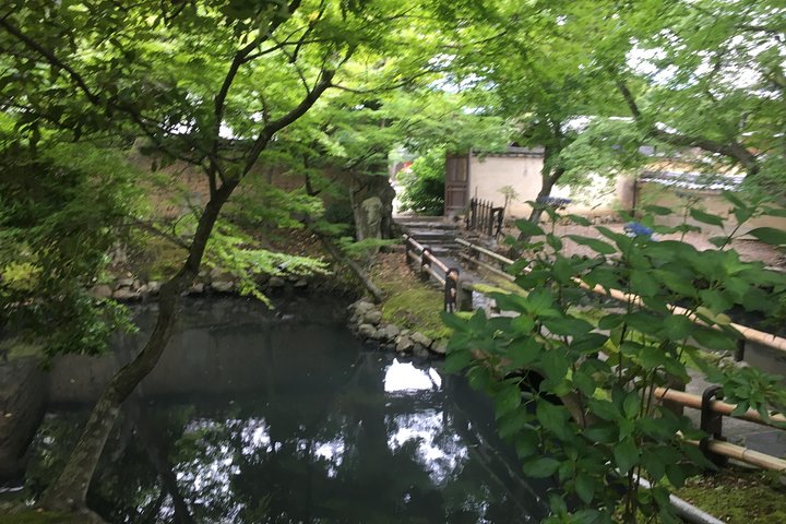 Tour a piedi di mezza giornata a Nara (opzione privata disponibile)