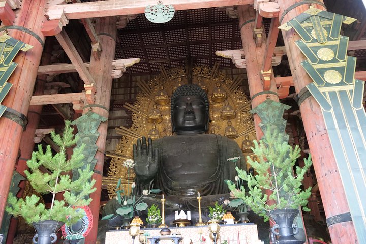 Tour a piedi di mezza giornata a Nara (opzione privata disponibile)
