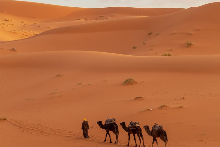 Resa från Erfoud till Merzougaöknen, middag, kamelritt, solnedgång