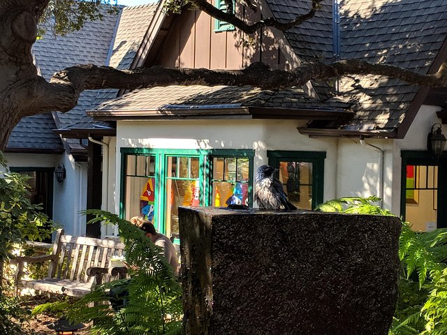 Excursion privée d'une journée à Monterey, Carmel et Big Sur au départ de San Francisco