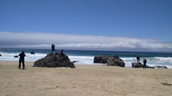 Excursion privée d'une journée à Monterey, Carmel et Big Sur au départ de San Francisco