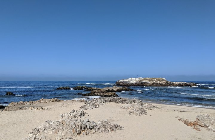 Excursion privée d'une journée à Monterey, Carmel et Big Sur au départ de San Francisco