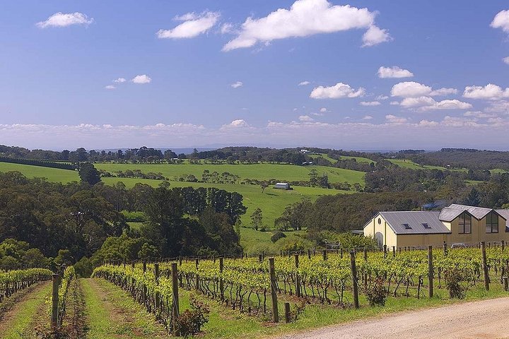 Die ultimative Mornington Peninsula-Tour zu Essen und Wein in kleiner Gruppe
