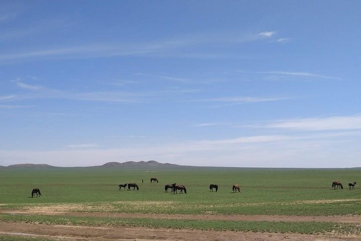 4D3N Huitengxile Grasland Wulanhada vulkaan Kubuqi Woestijn Tours