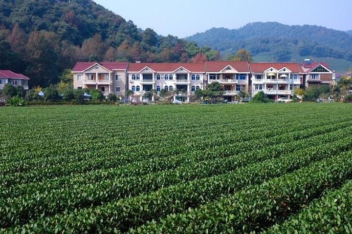 Excursão privada flexível de um dia a Hangzhou com cruzeiro de barco no Lago Oeste