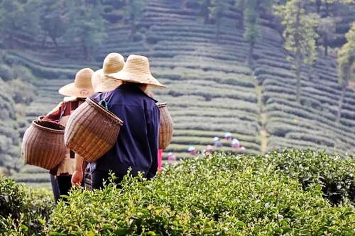 Excursão privada flexível de um dia a Hangzhou com cruzeiro de barco no Lago Oeste